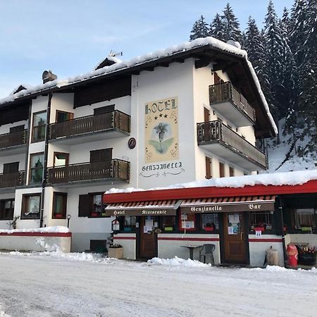Hotel Genzianella Presenaio Luaran gambar